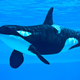 Illustration for article titled Scientists Reveal Kinky Secrets of Whale Sex